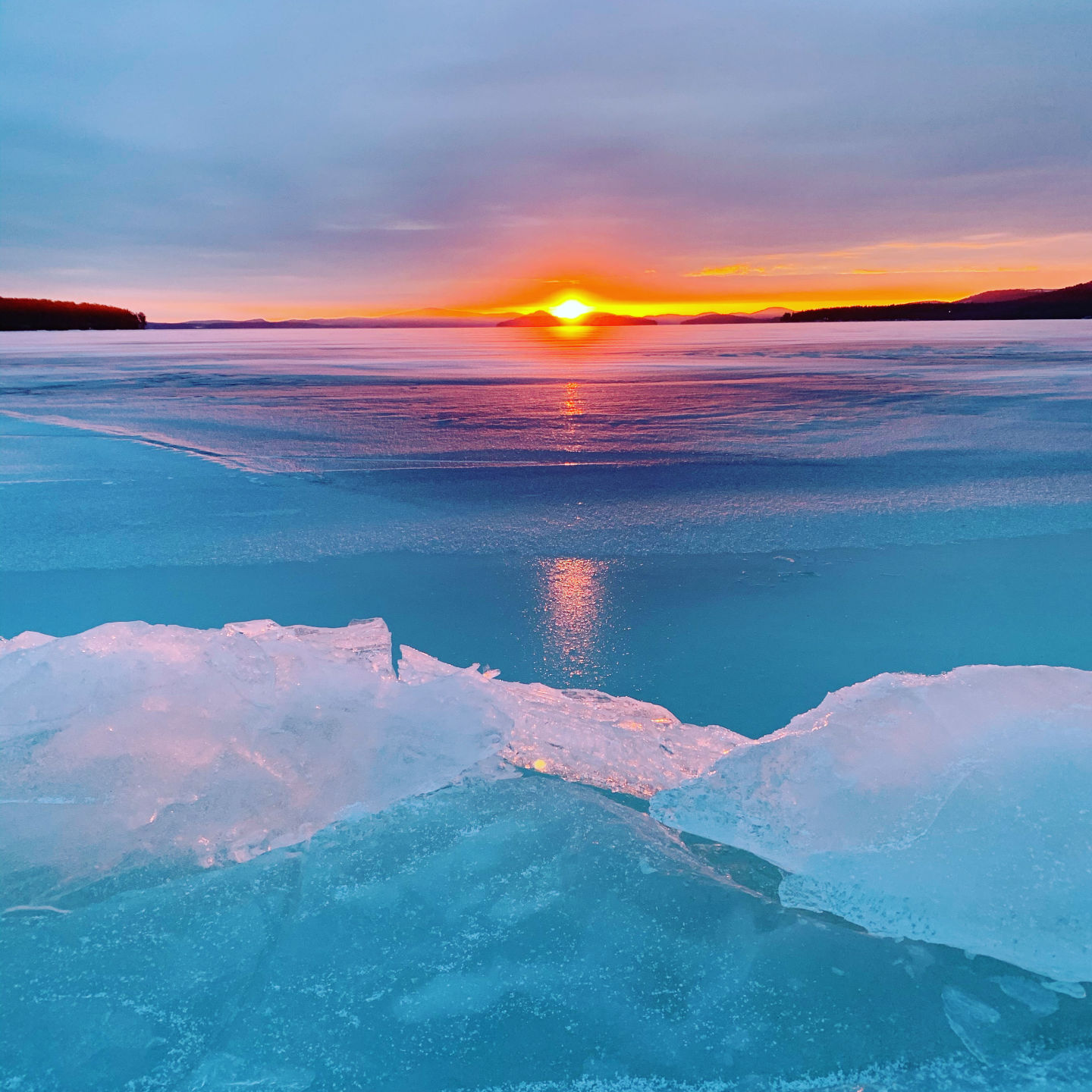 Reader Pics: Feb. 4